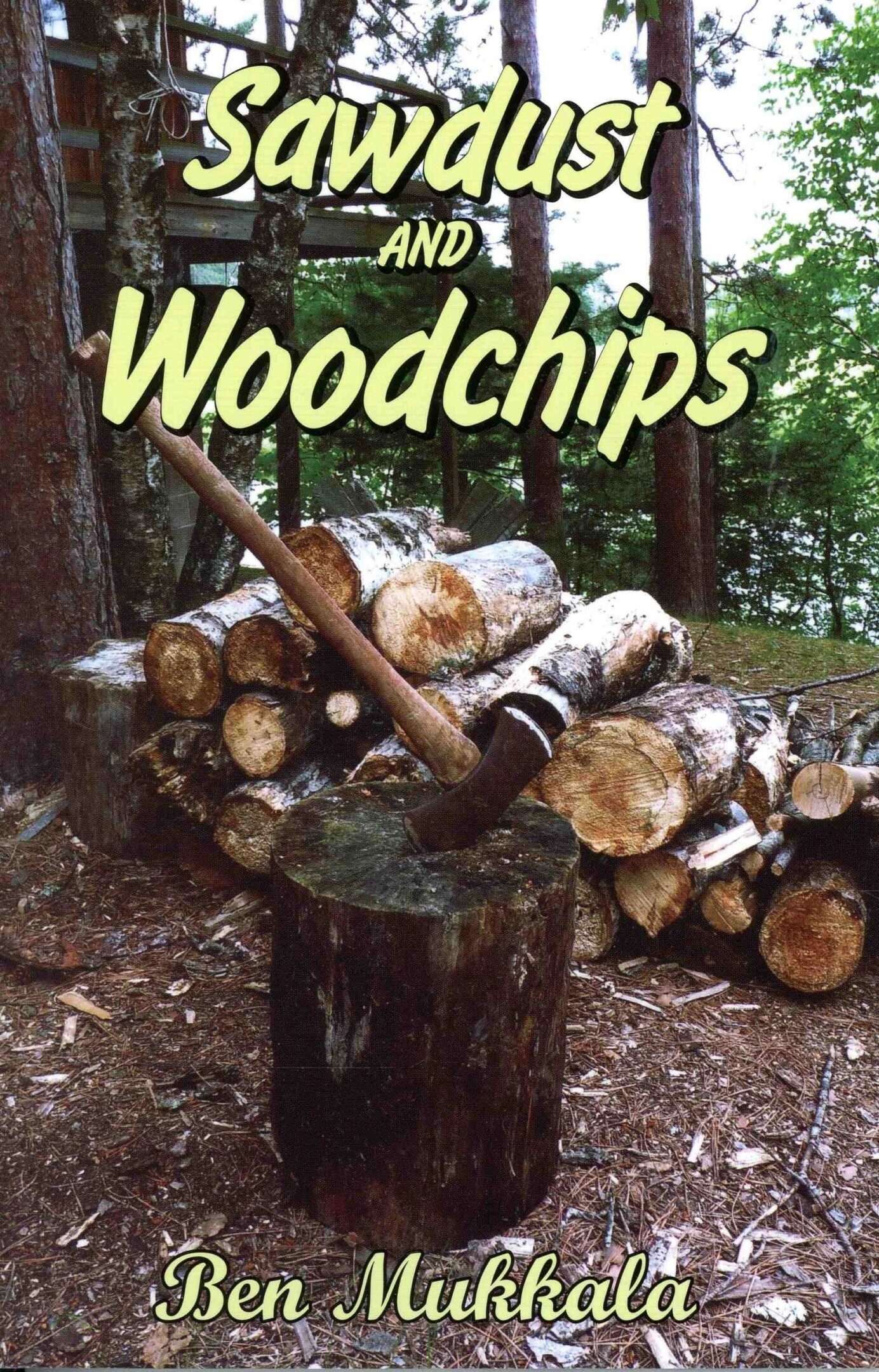 Axe on stump with stacked firewood background.