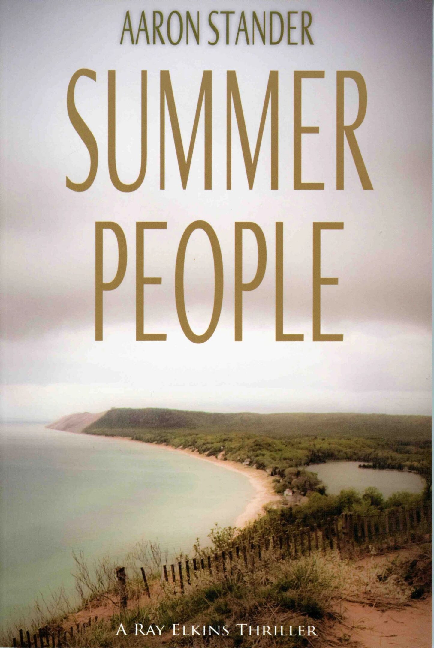 Book cover of "Summer People" by Aaron Stander.
