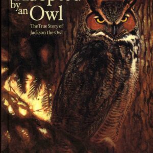 Book cover featuring a vigilant owl illustration.