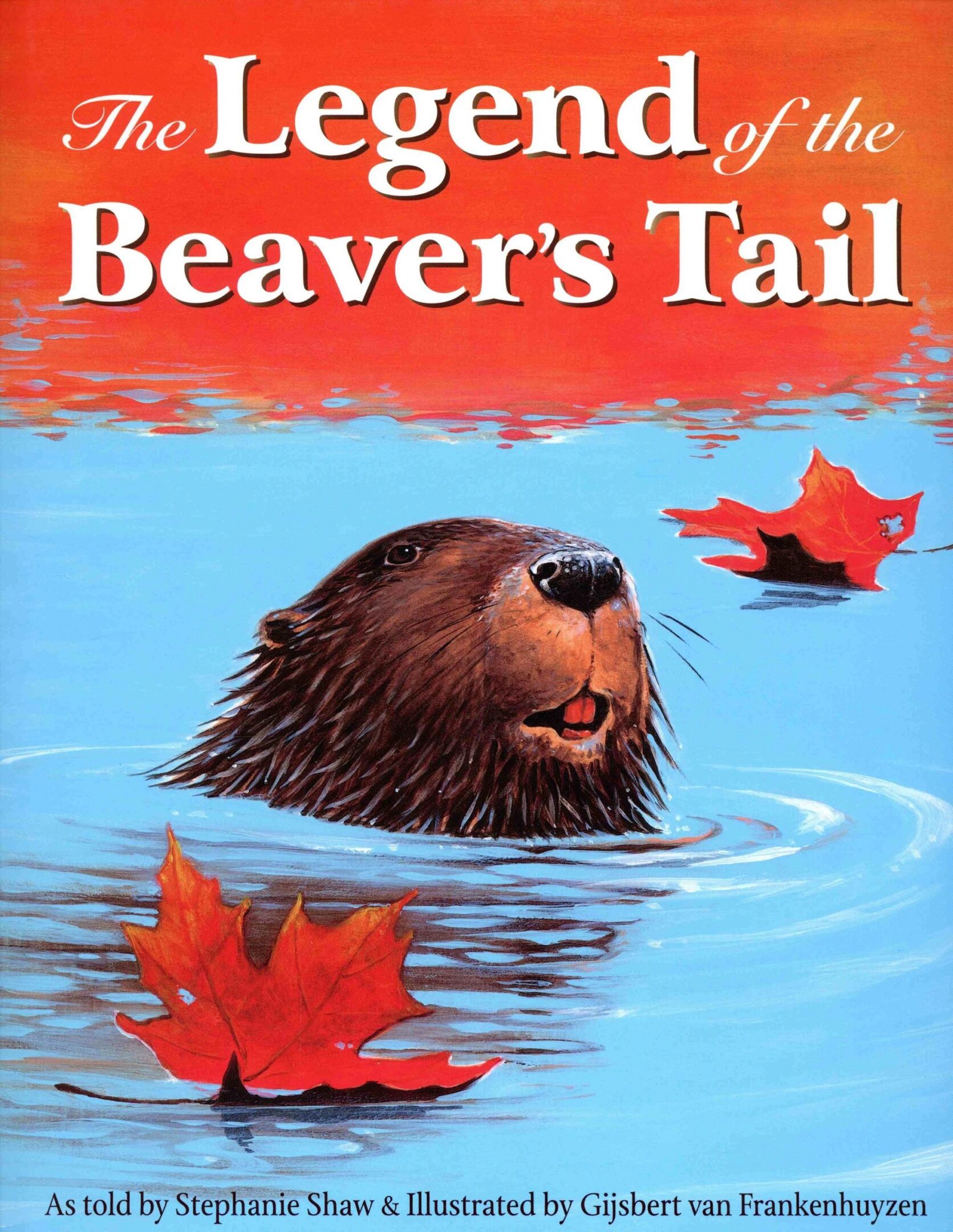 Beaver swimming with autumn leaves around.