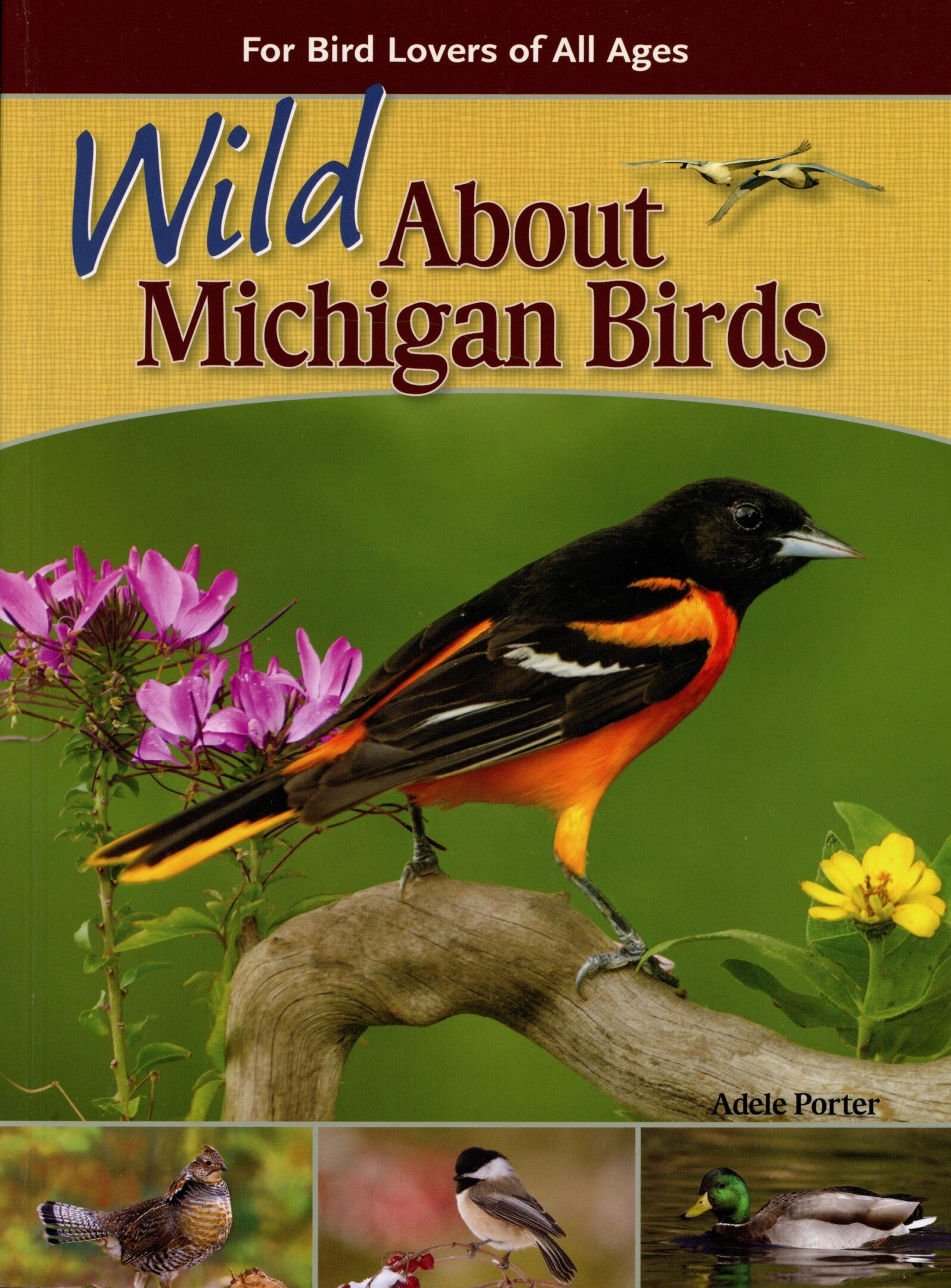 Book cover: Wild About Michigan Birds.