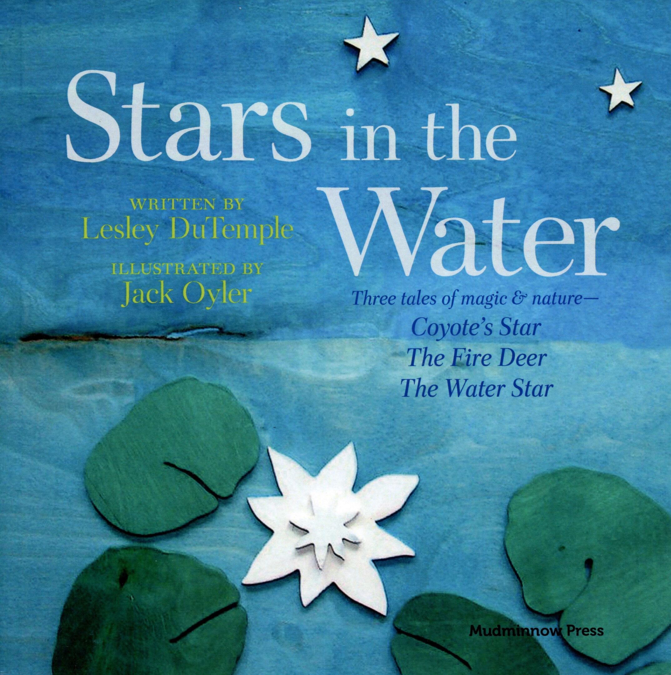 Book cover with stars and lily pads.