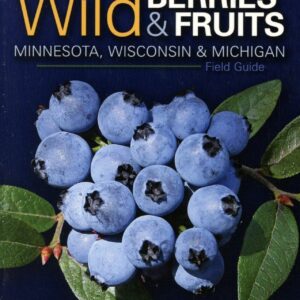 Field guide cover with blueberries and leaves.