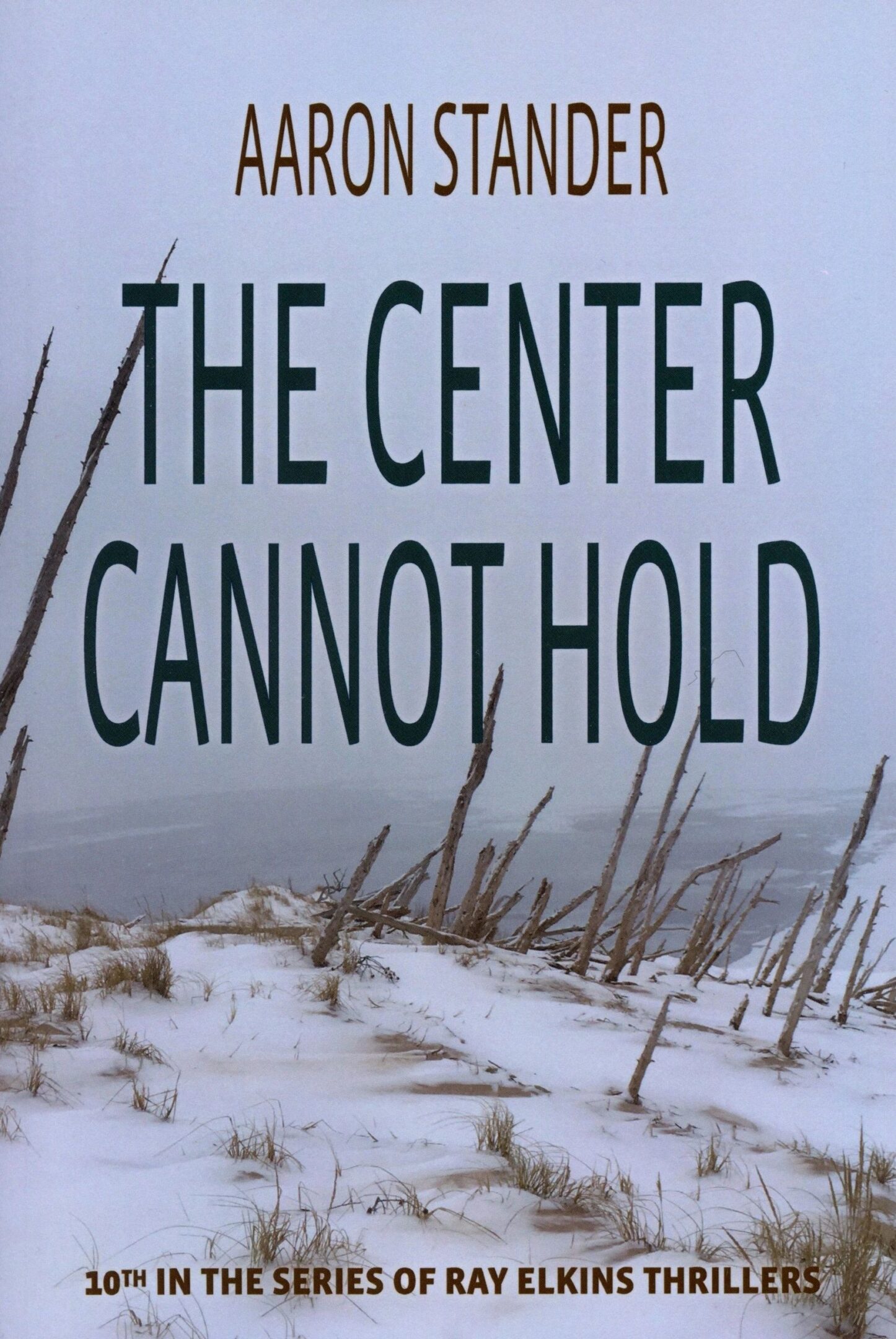 Book cover: "The Center Cannot Hold".