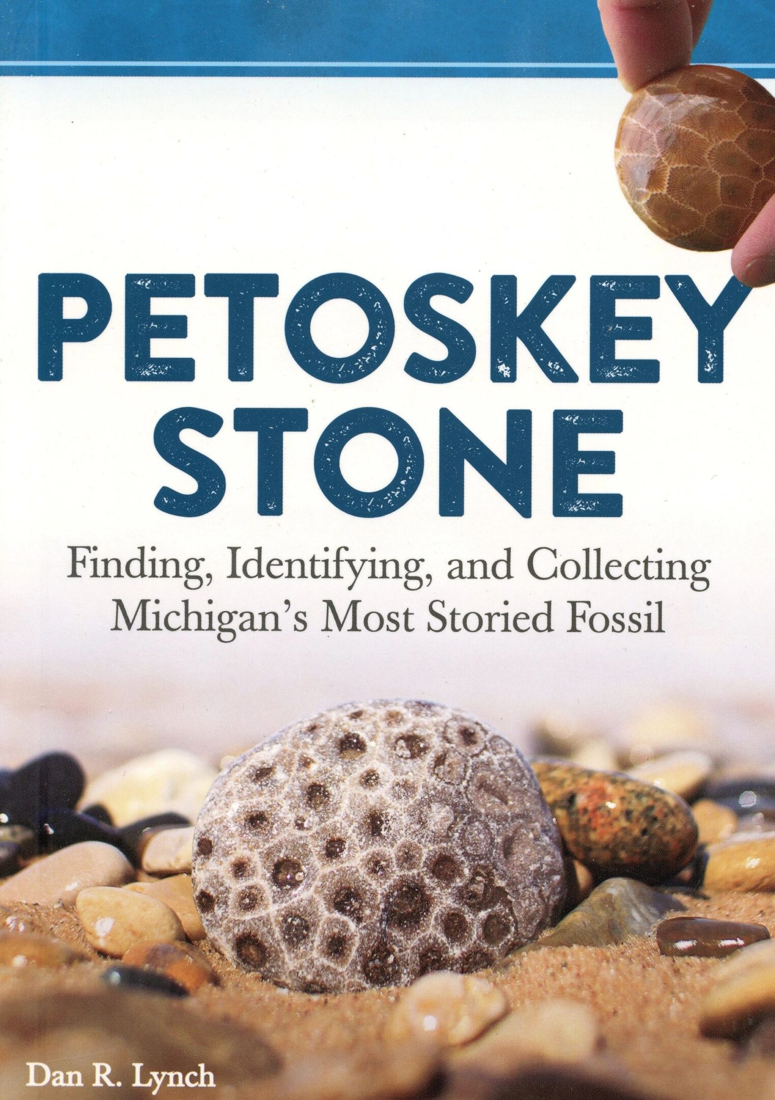 Book cover of "Petoskey Stone" by Dan Lynch.
