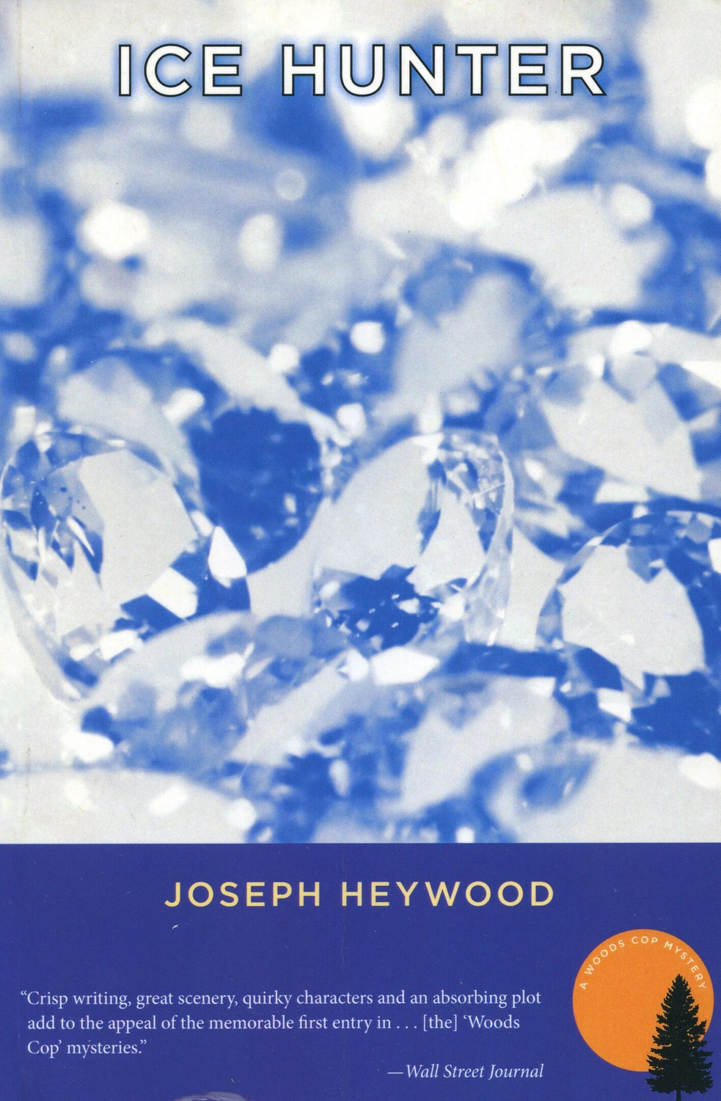 Ice Hunter" book cover with ice crystals.
