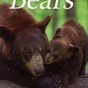 Bears playing cards featuring mother and cub.