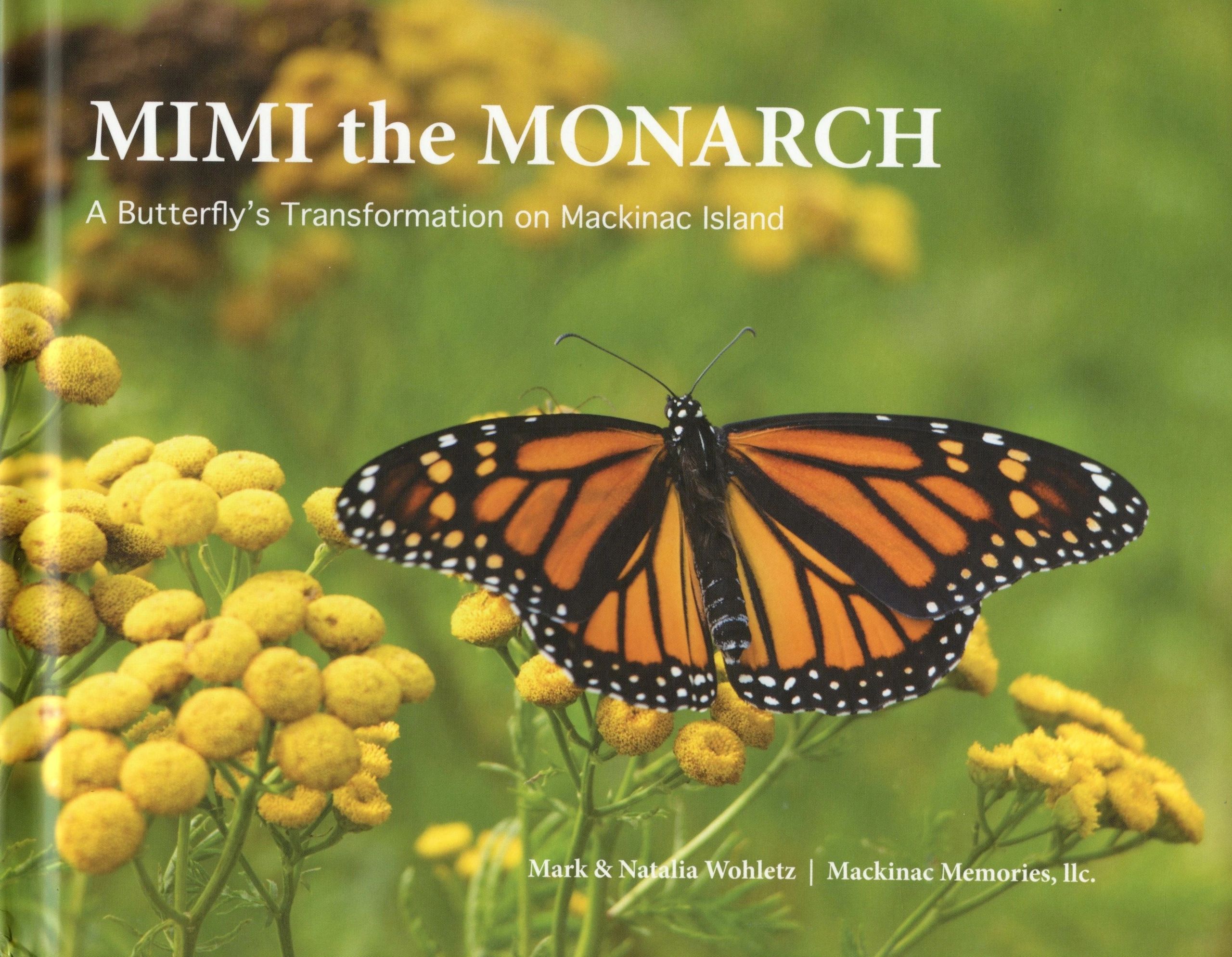 Monarch butterfly on yellow flowers.