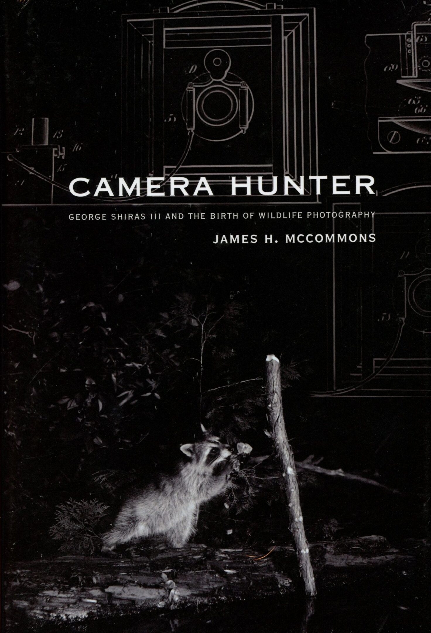 Raccoon under moonlight, "Camera Hunter" book cover.