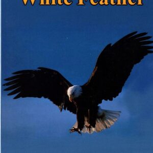 Eagle soaring beneath book title and subtitle.