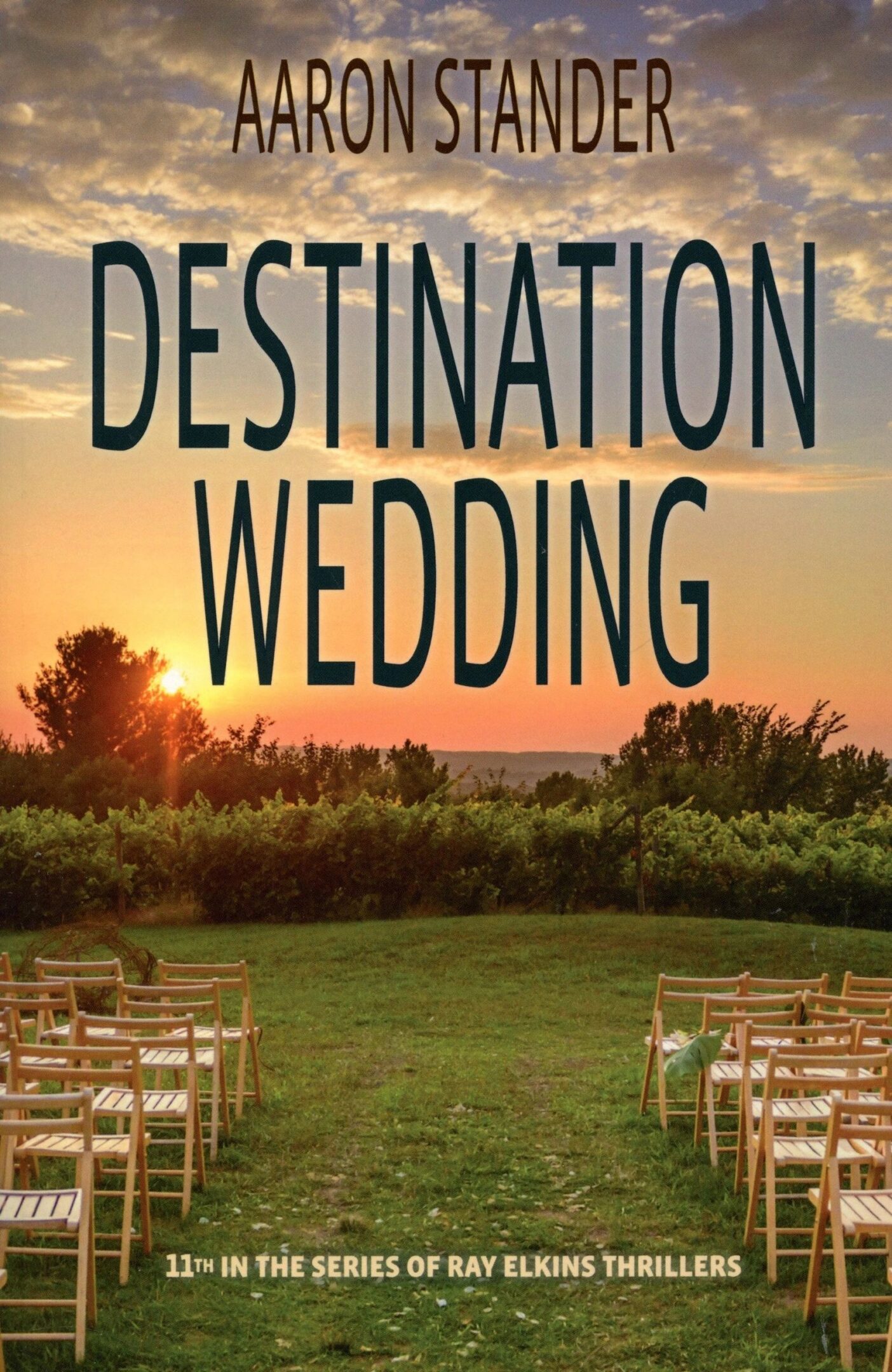 Book cover: "Destination Wedding" by Aaron Stander.