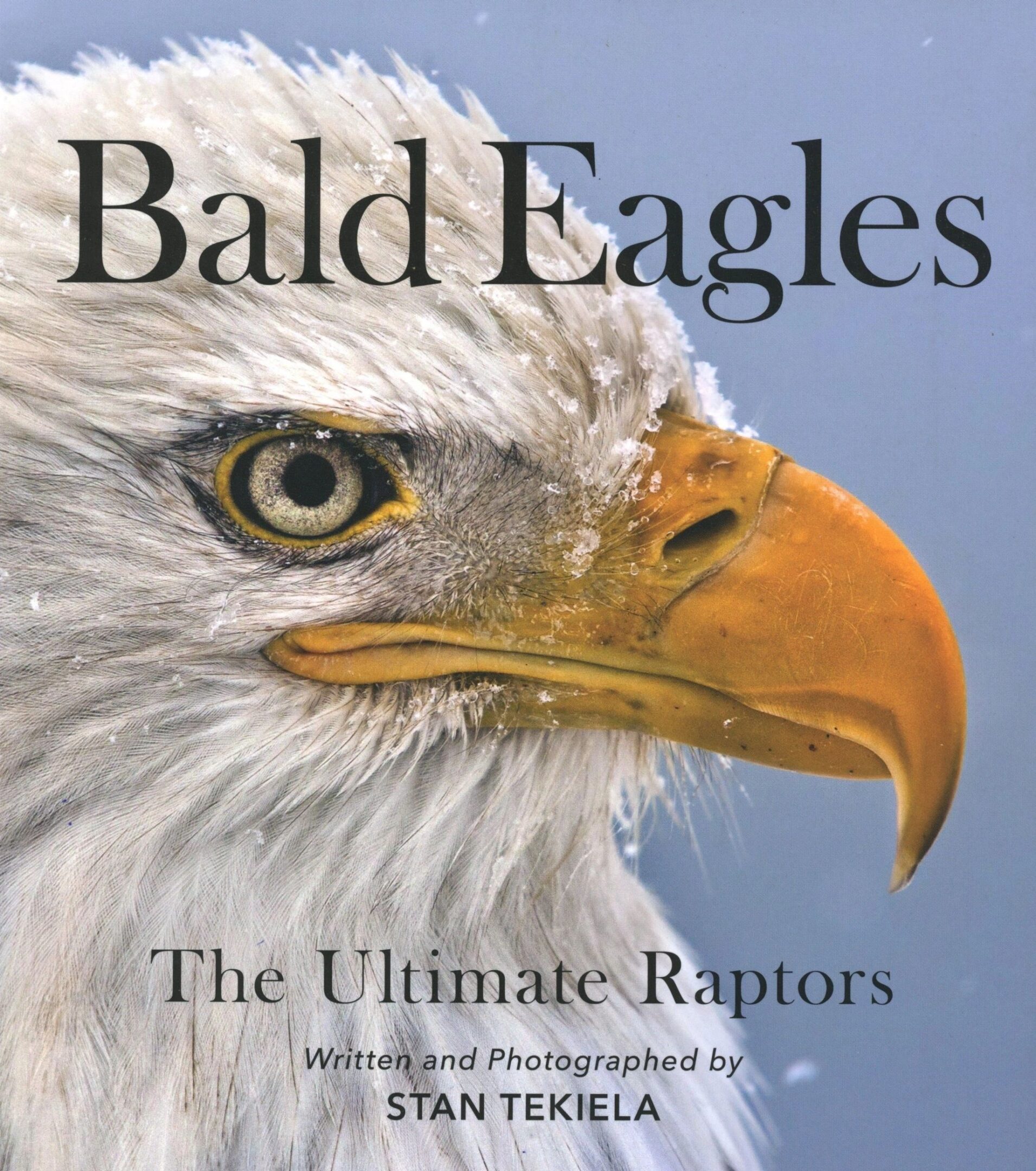 Bald eagle close-up on book cover.