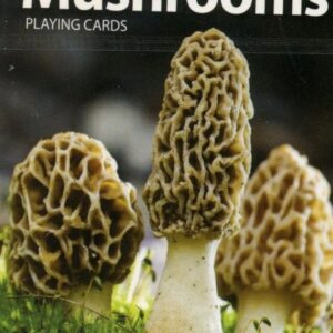 Mushrooms-themed playing cards cover with morels.
