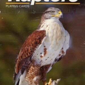 Raptor bird on playing cards cover.