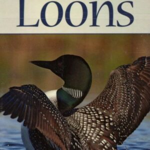 Loon bird on playing cards cover.