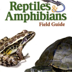 Field guide cover with frog and turtle.