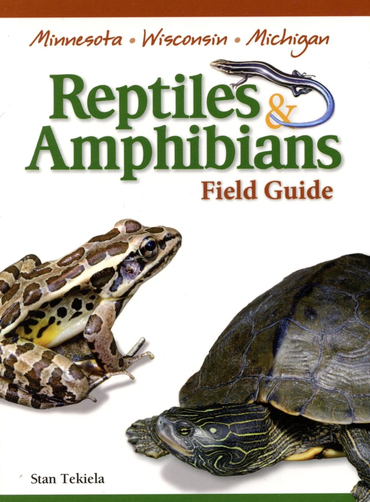 Field guide cover with frog and turtle.