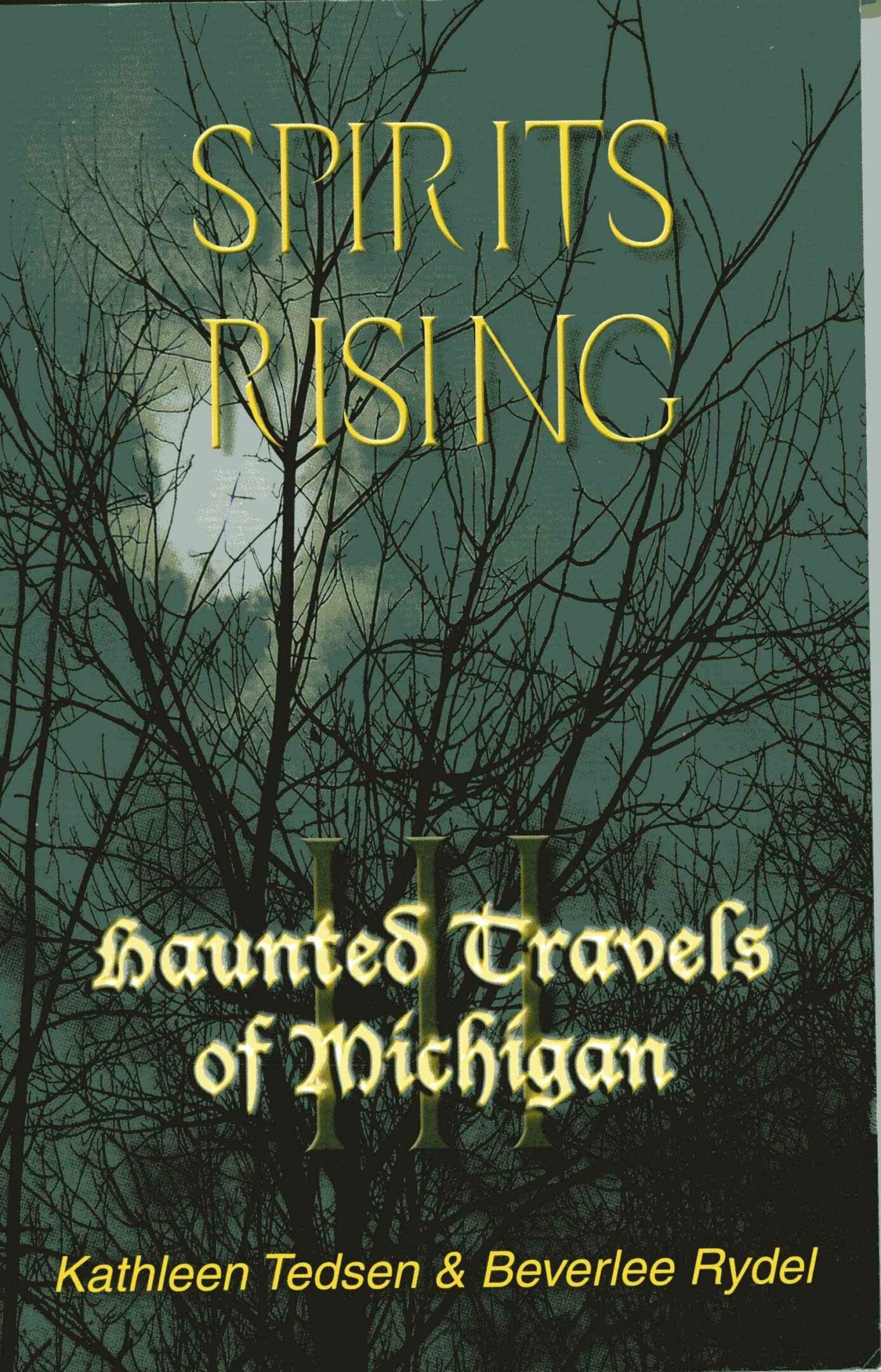Cover of "Spirits Rising" book.