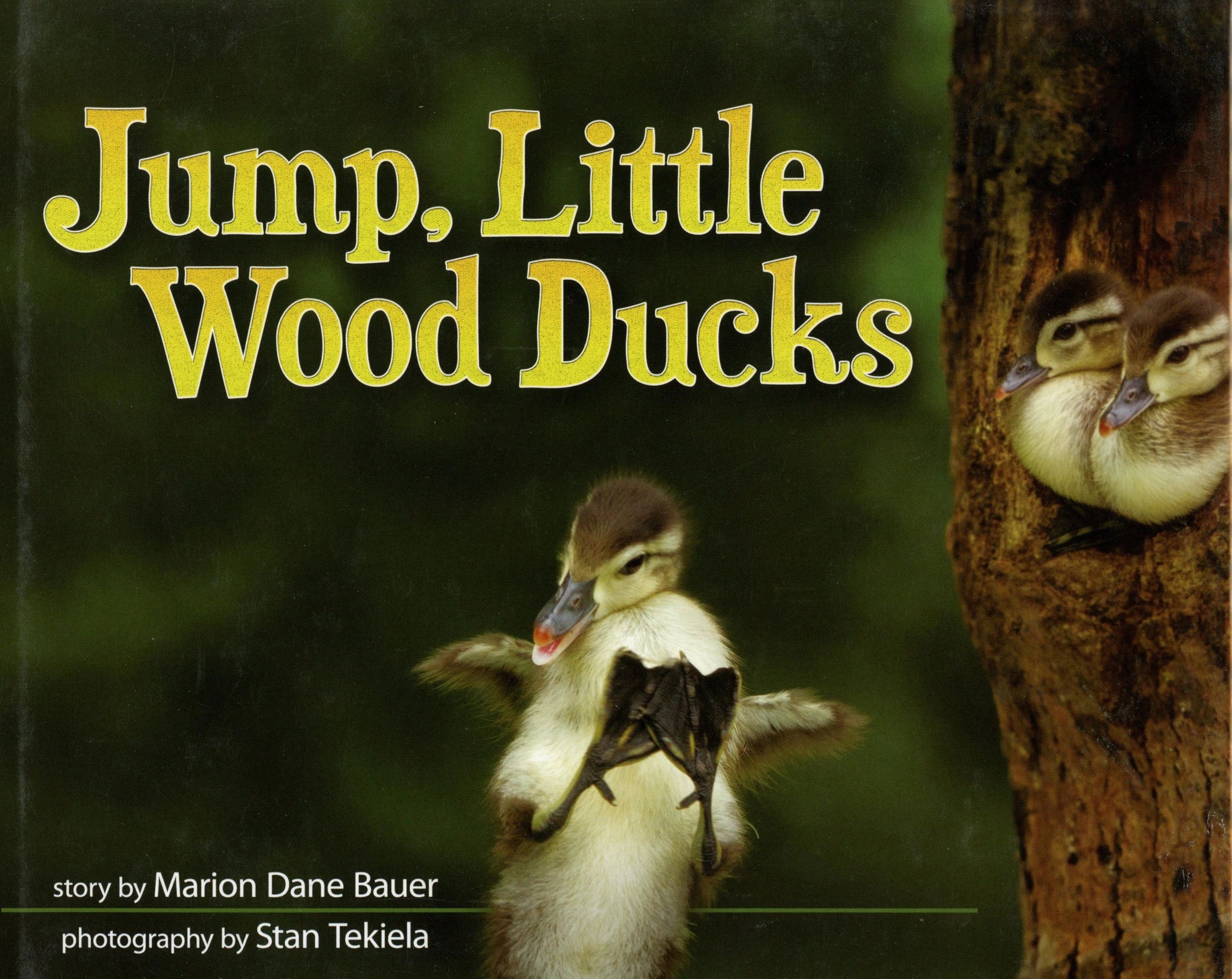 Ducklings jumping from tree, book cover.
