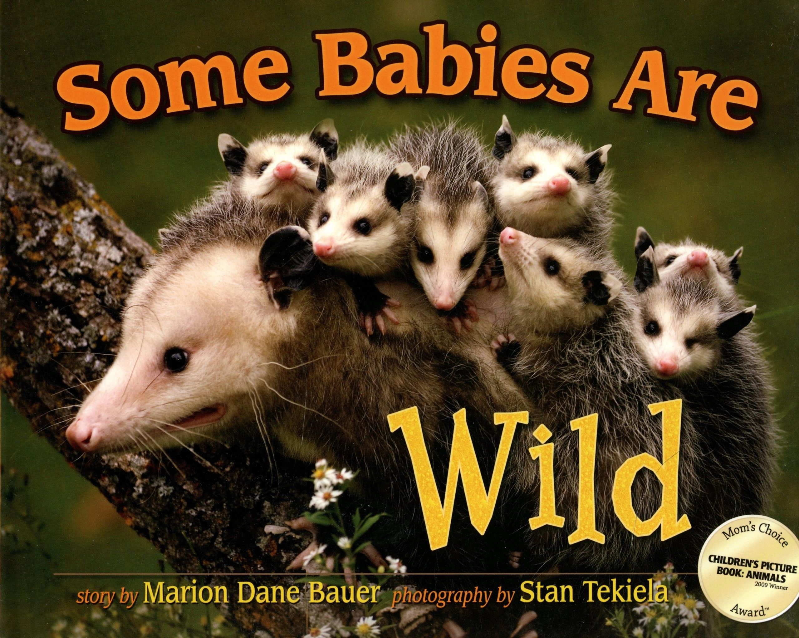 Opossum with babies on its back, book cover.