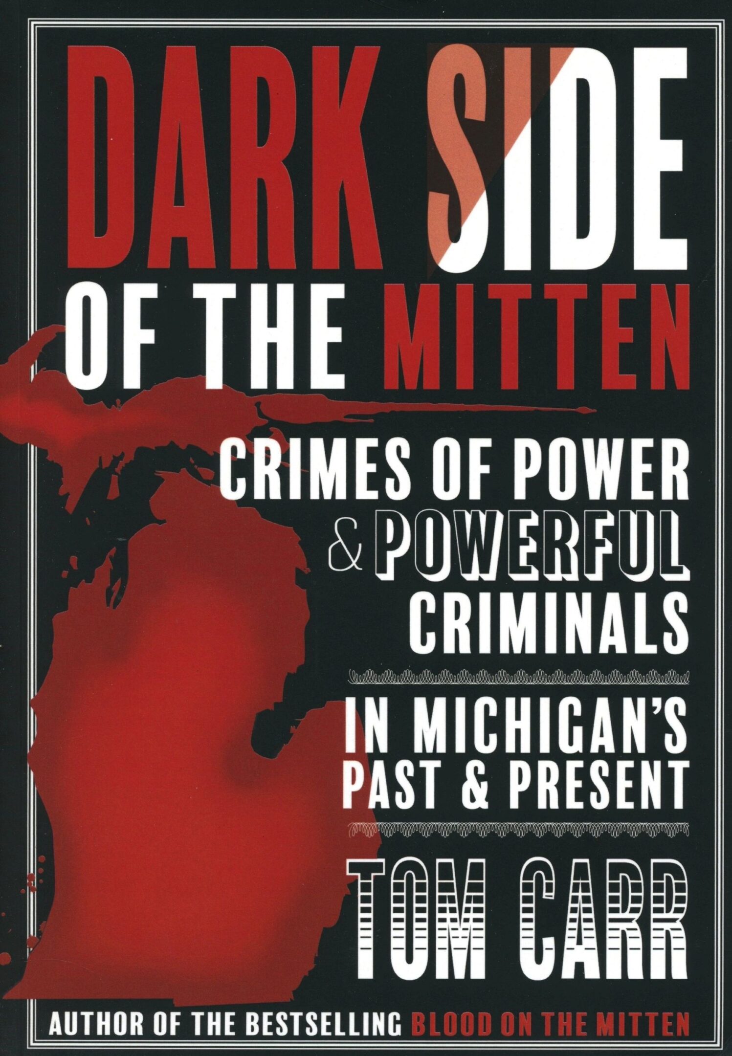 Dark Side of the Mitten book cover.