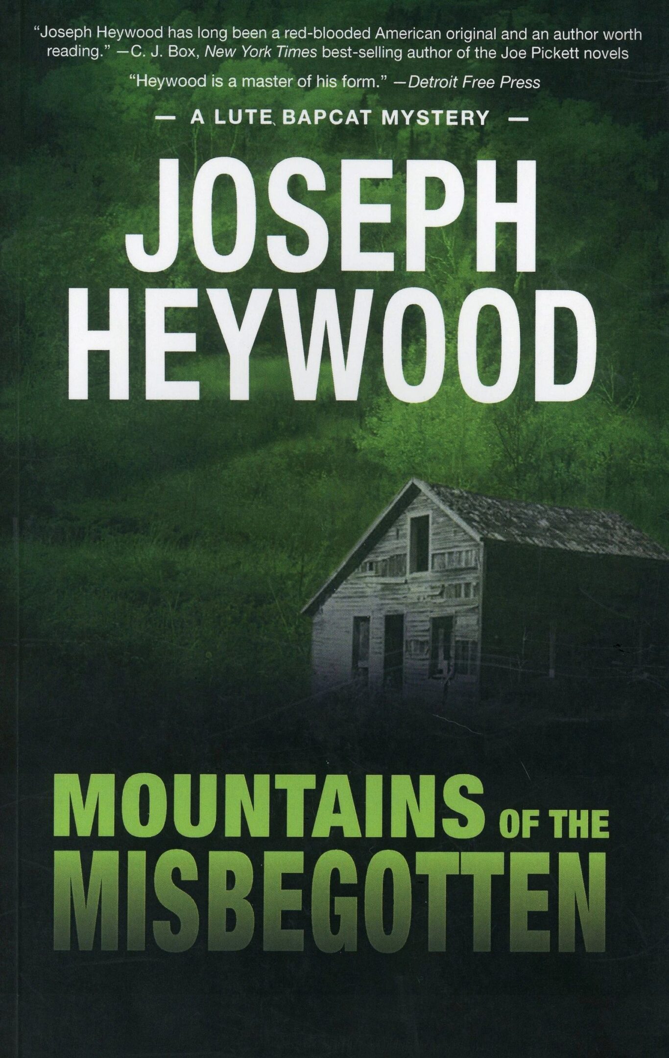 Book cover: Mountains of the Misbegotten.