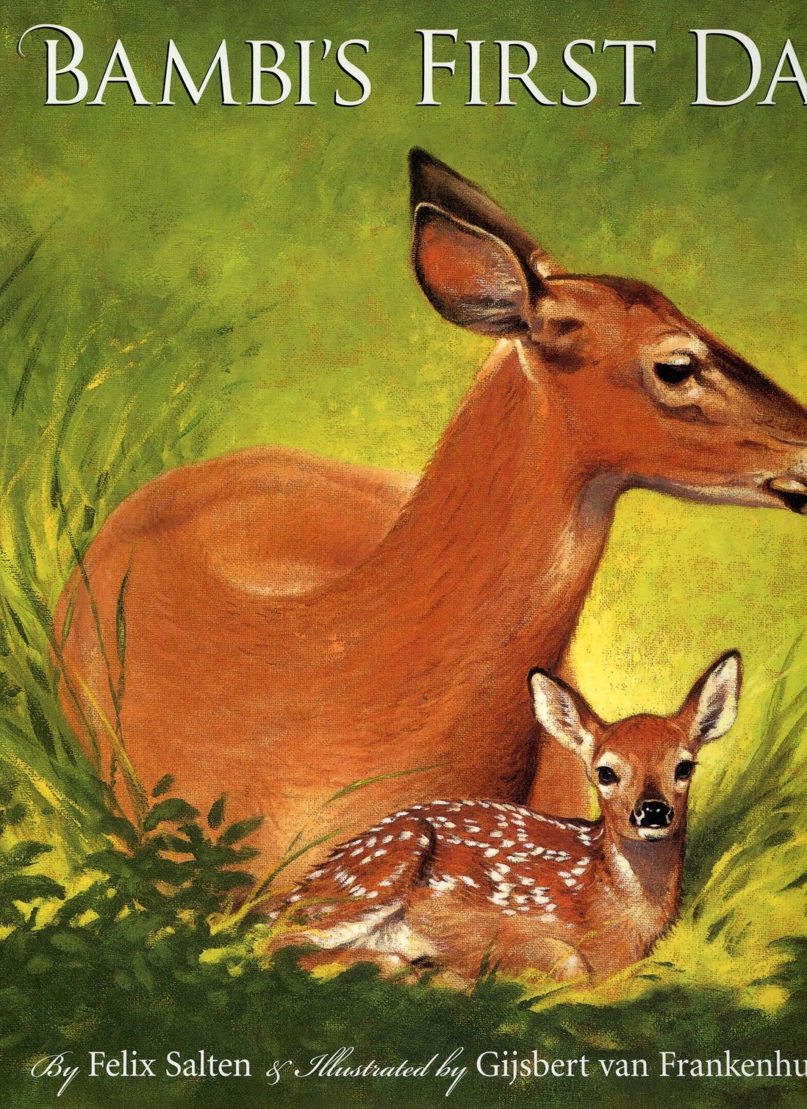 Deer and fawn resting in a meadow.
