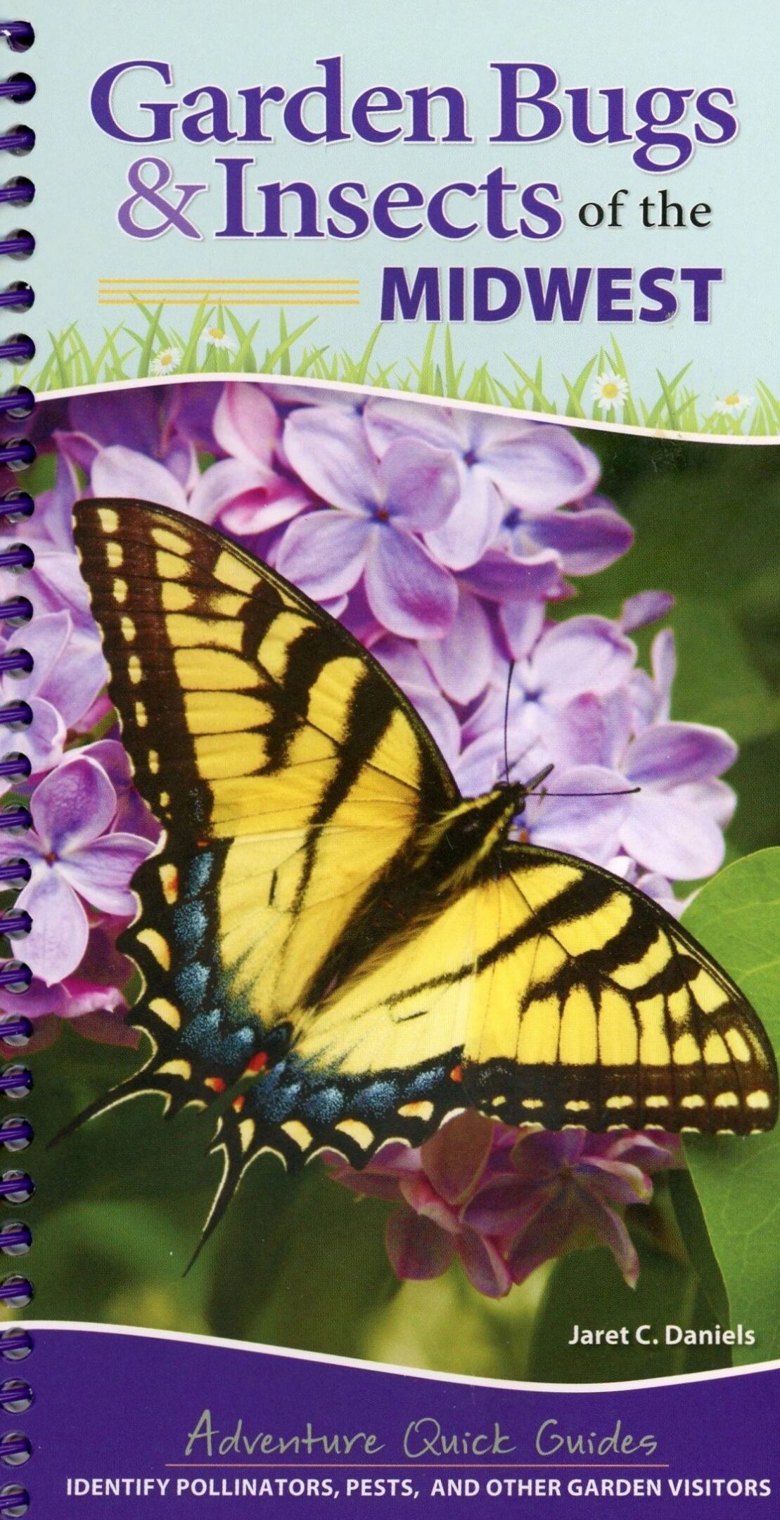 Butterfly on flowers, garden insects guide cover.