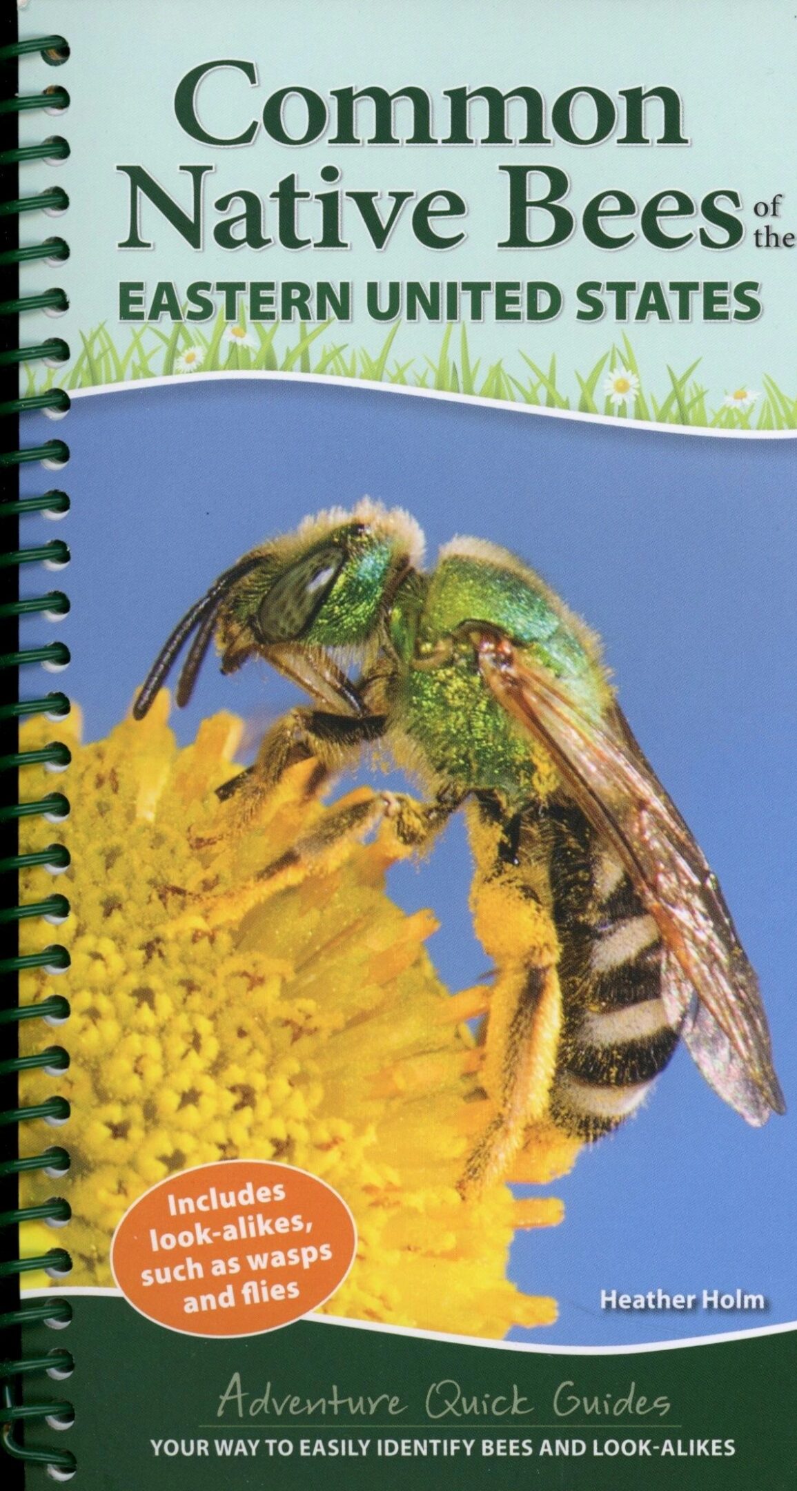 Guidebook cover featuring bee on flower.