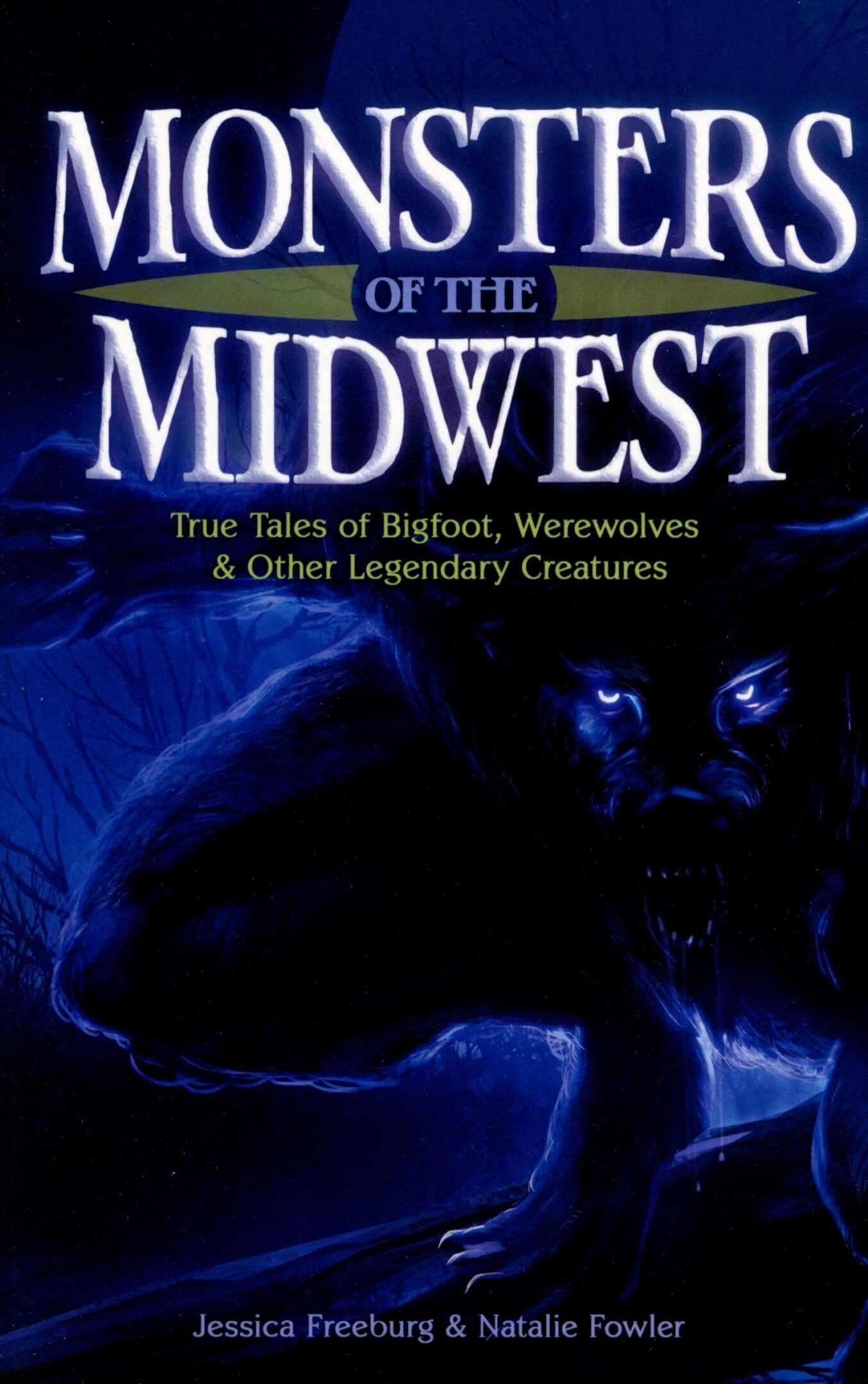 Book cover of "Monsters of the Midwest".