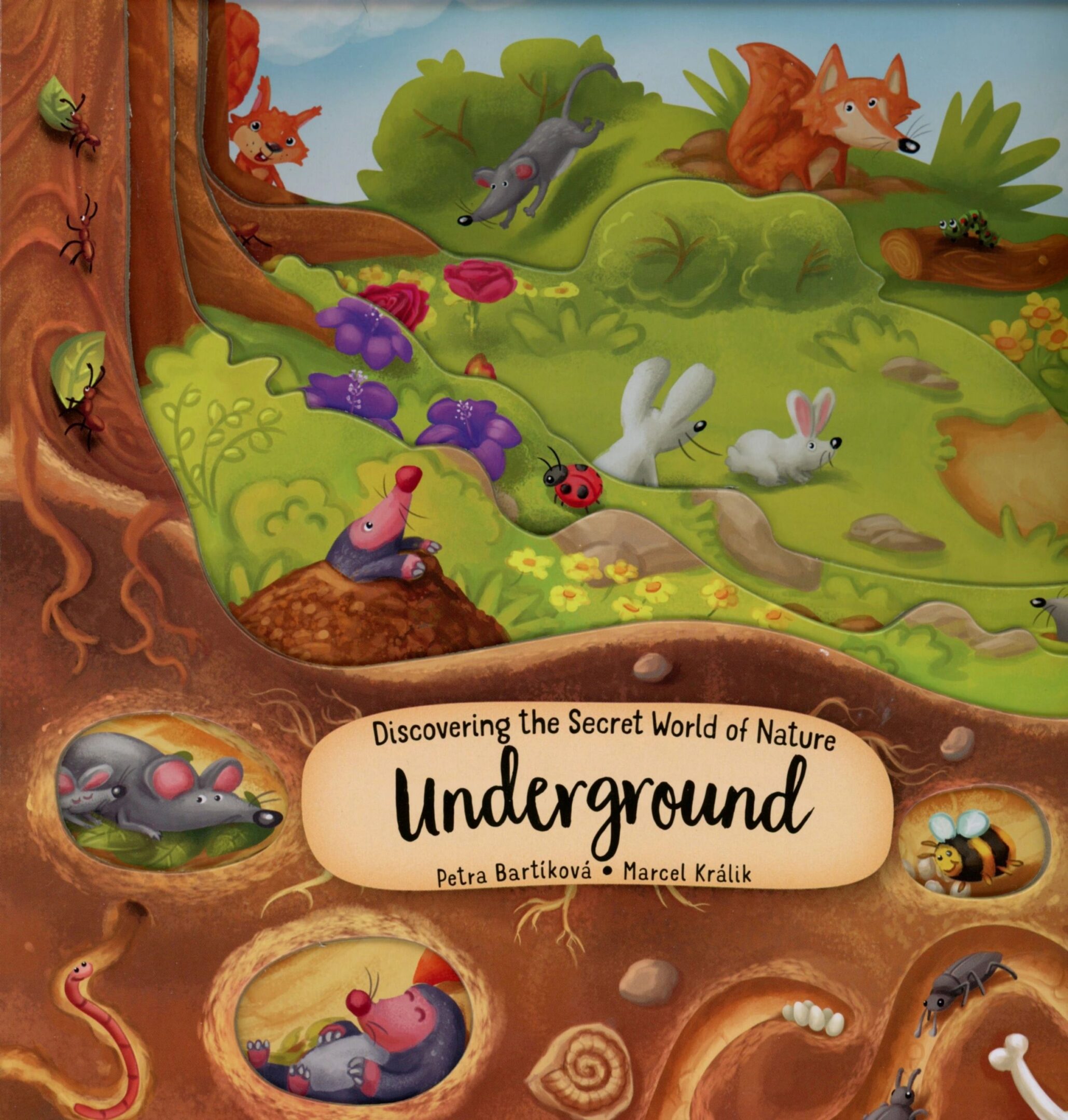 Illustrated animals in an underground nature scene.