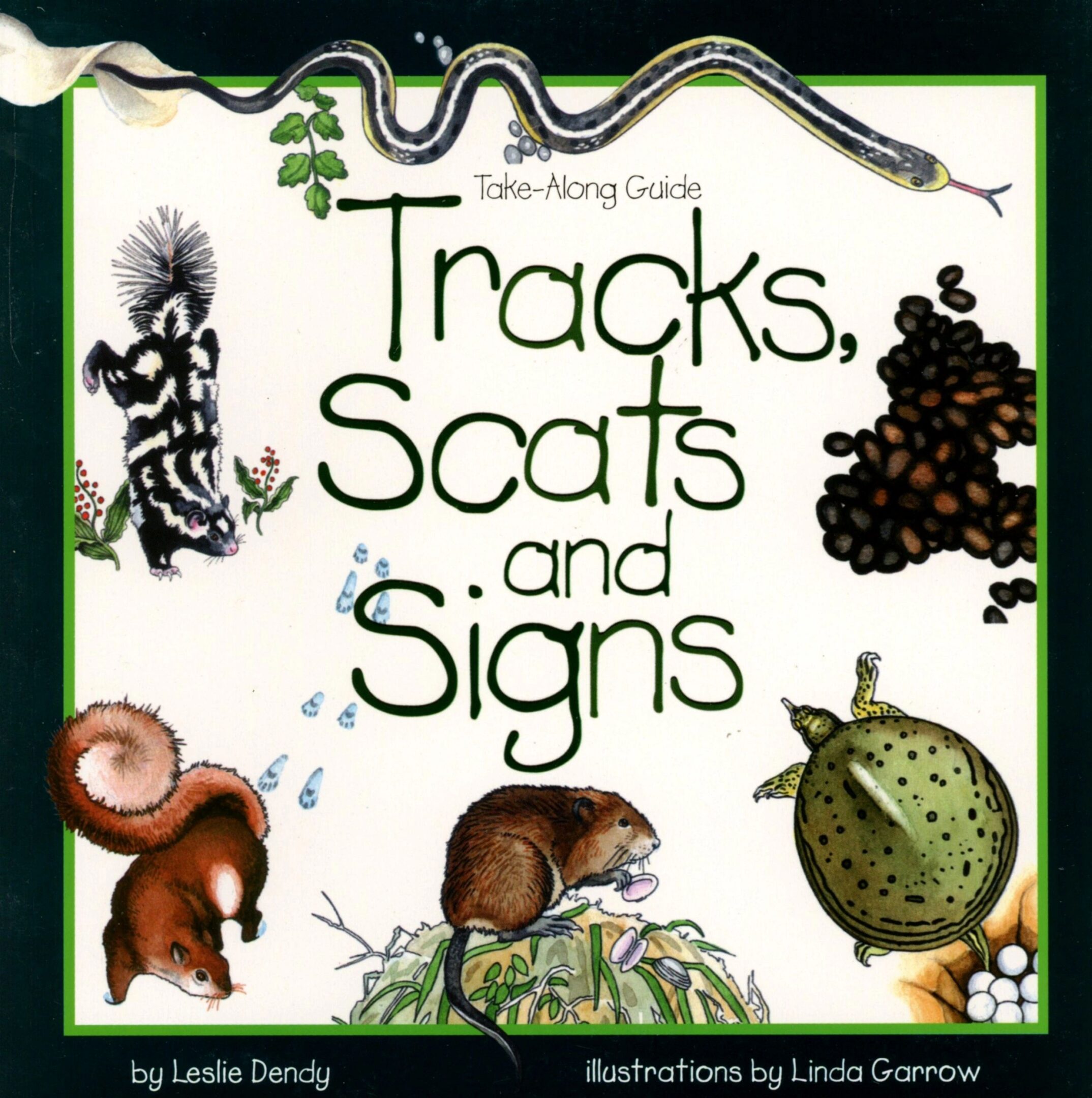 Tracks, Scats and Signs book cover illustration.
