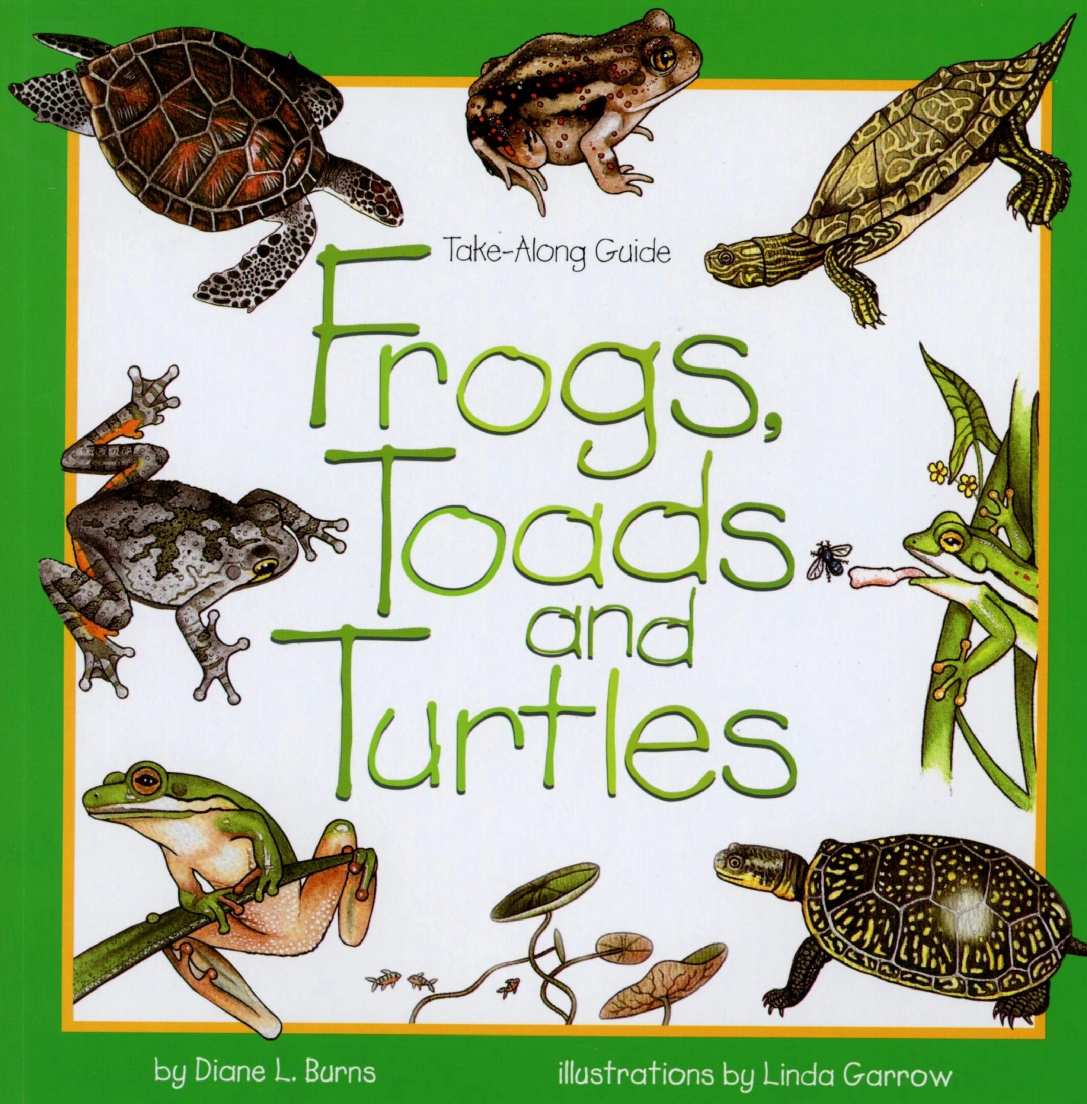 Frogs, Toads, and Turtles book cover.