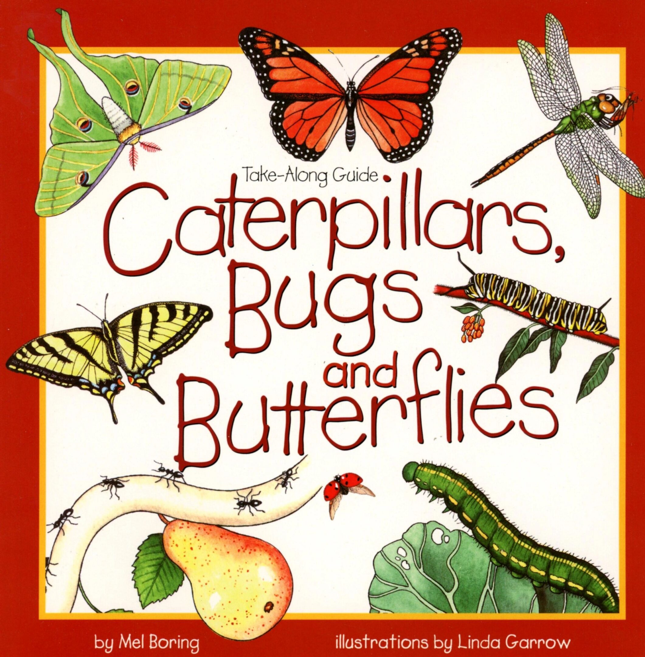 Book cover: Caterpillars, Bugs, and Butterflies.