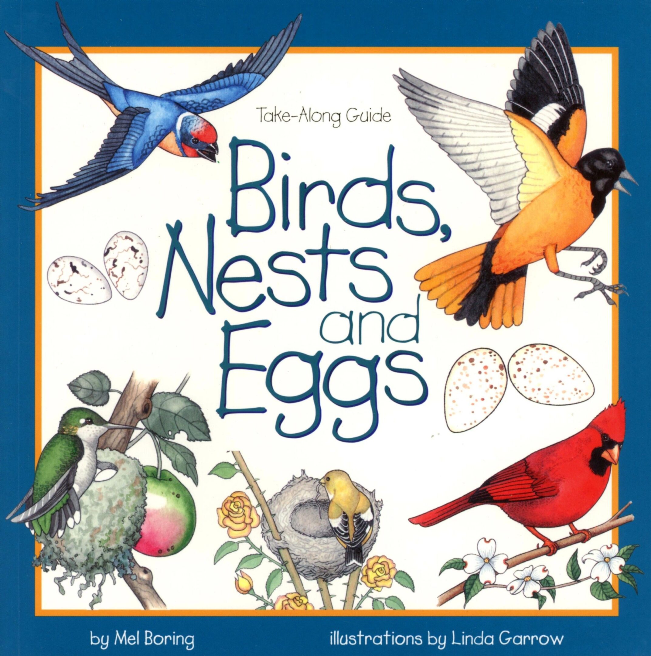 Birds, nests, and eggs illustrated book cover.
