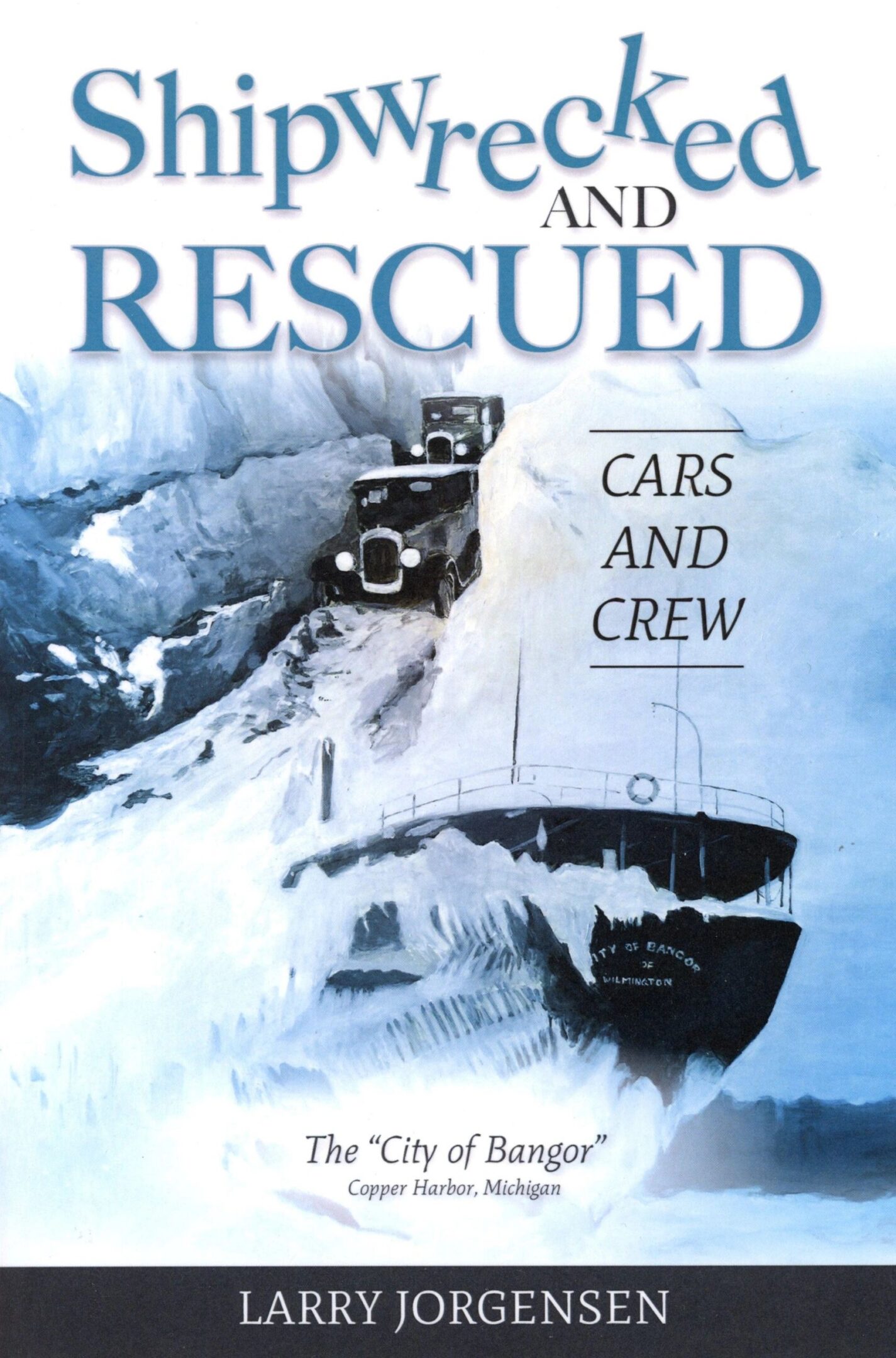 Book cover with ship in stormy sea.