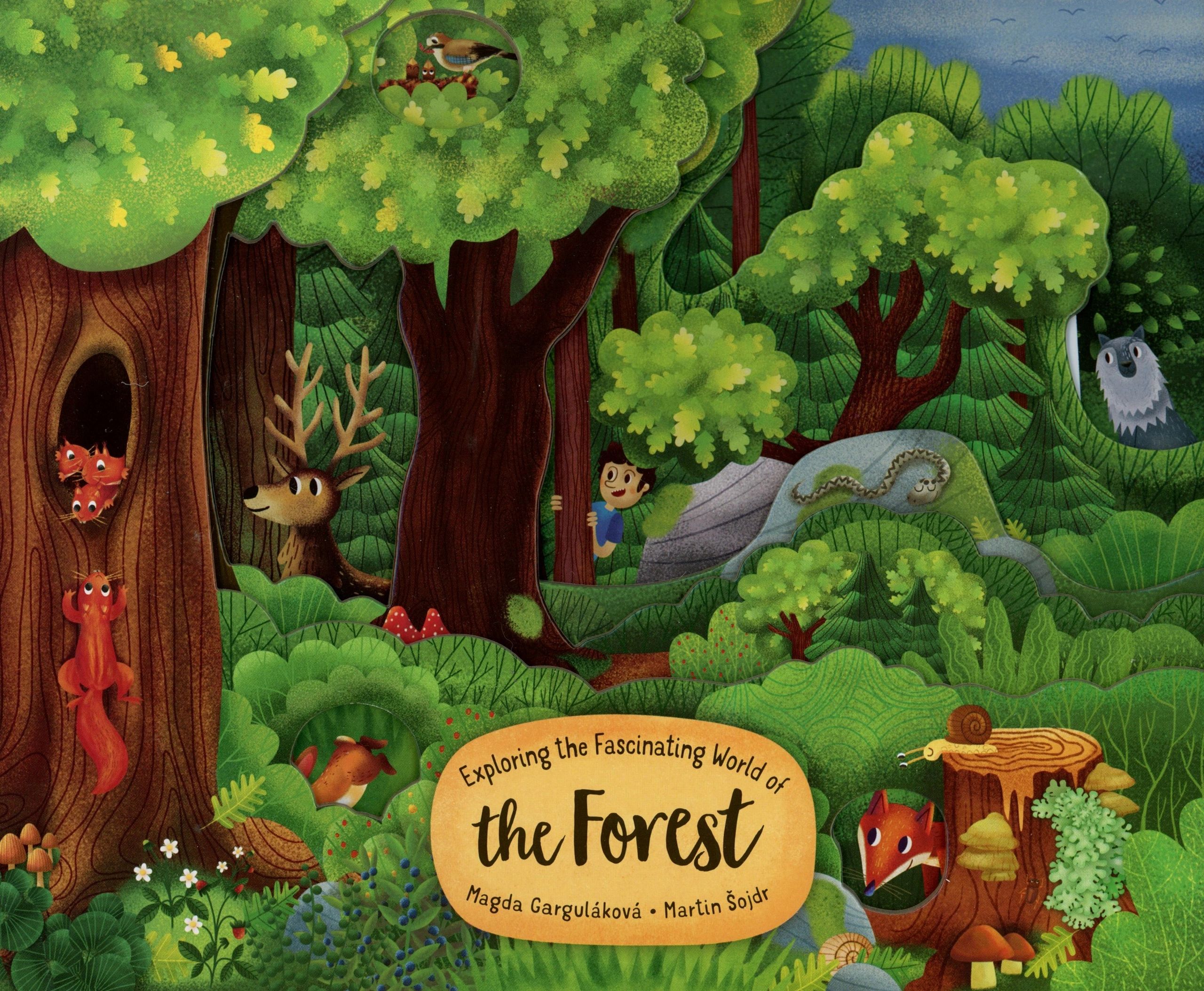 Colorful forest scene with various woodland creatures.