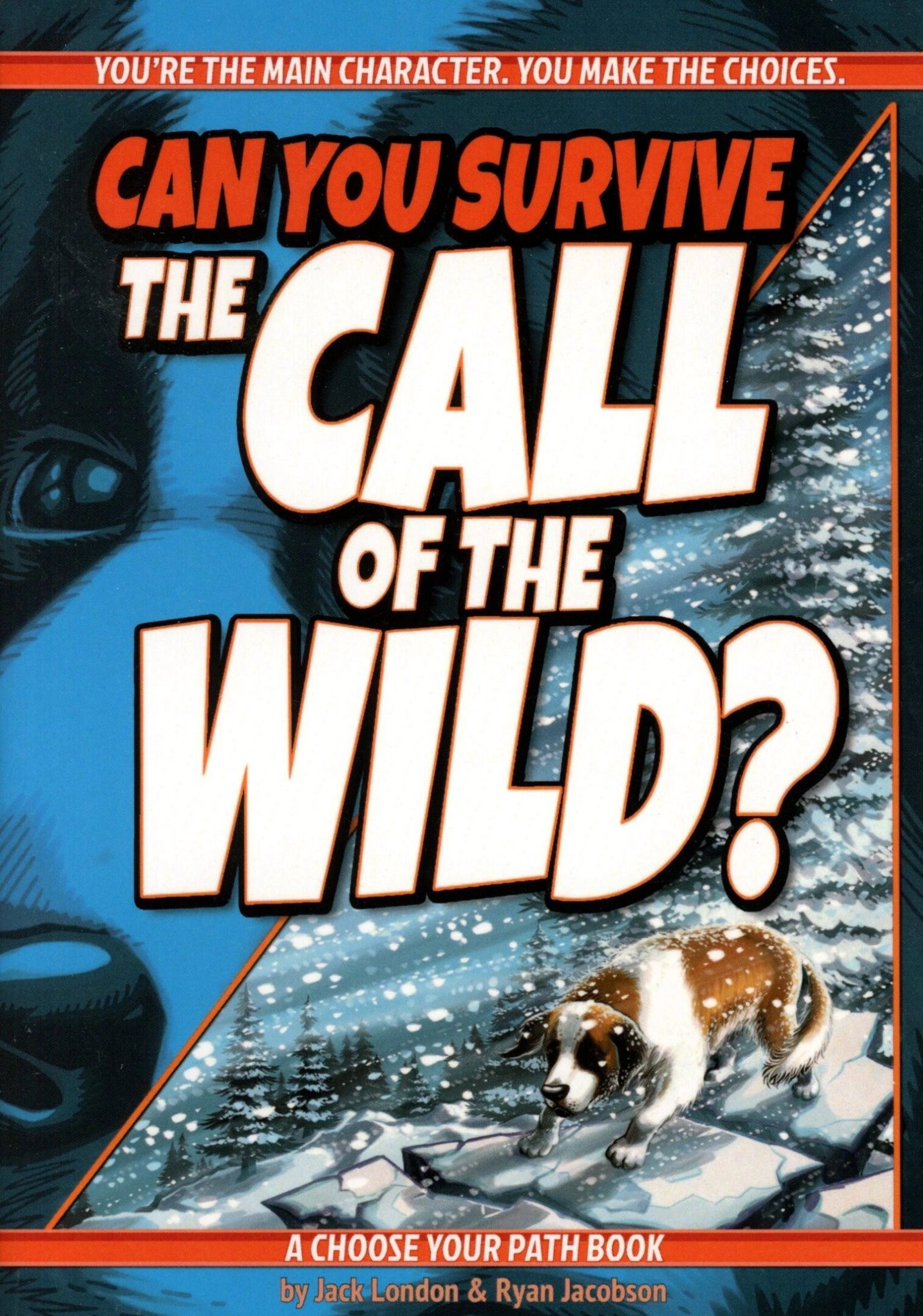 Book cover with dog in snow.