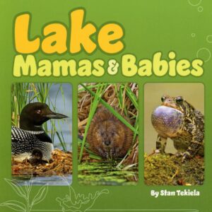 Lake animals with their babies, book cover.