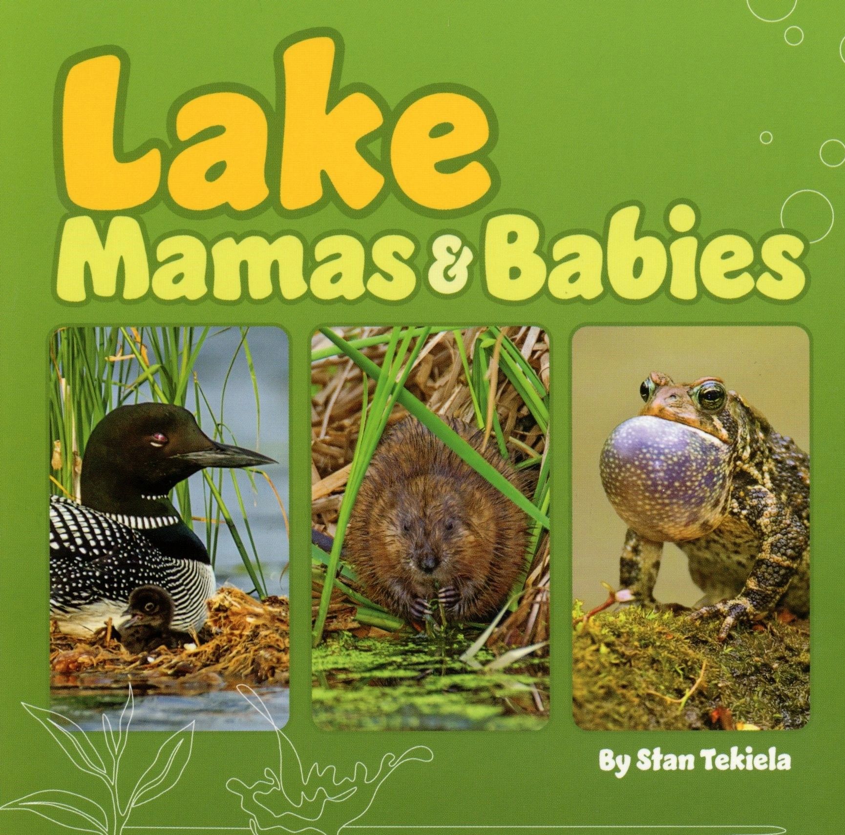 Lake animals with their babies, book cover.