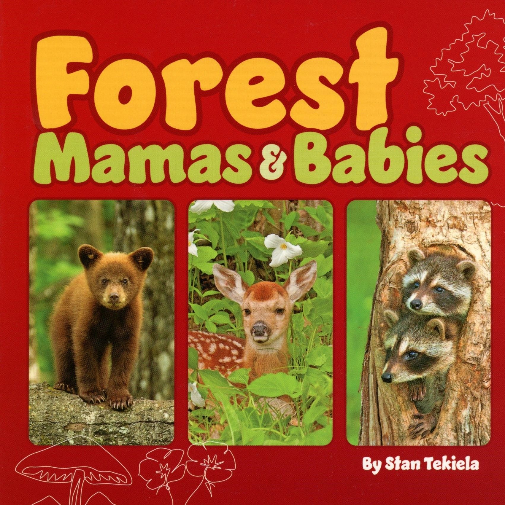 Forest animal babies book cover illustration.