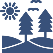 Sun and trees landscape illustration